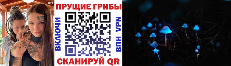 купить закладку  Керчь  Псилоцибиновые грибы Psilocybe 