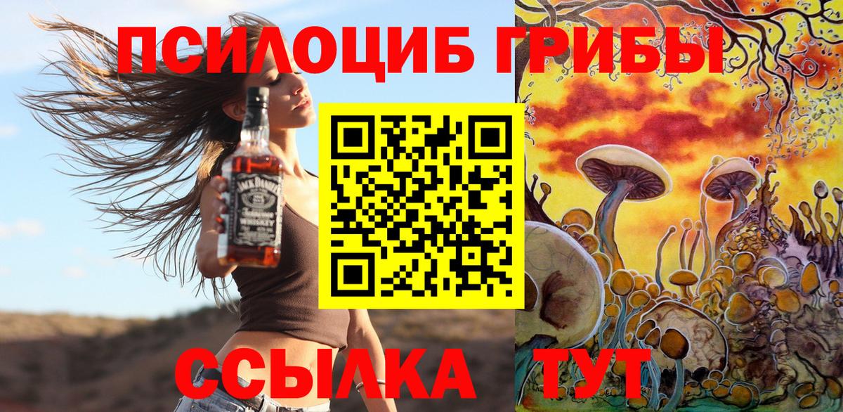 Керчь  Псилоцибиновые грибы GOLDEN TEACHER  Вход с VPN  Галлюциногенные грибы мицелий 