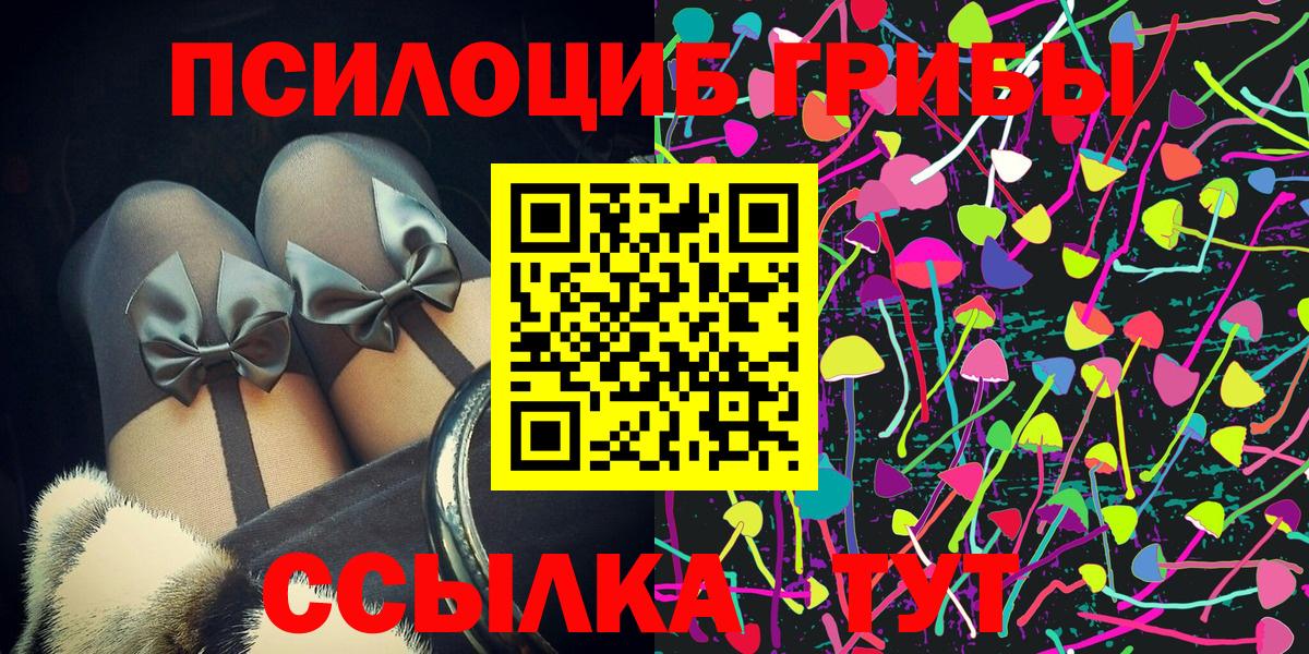 Псилоцибиновые грибы Psilocybe  Керчь 