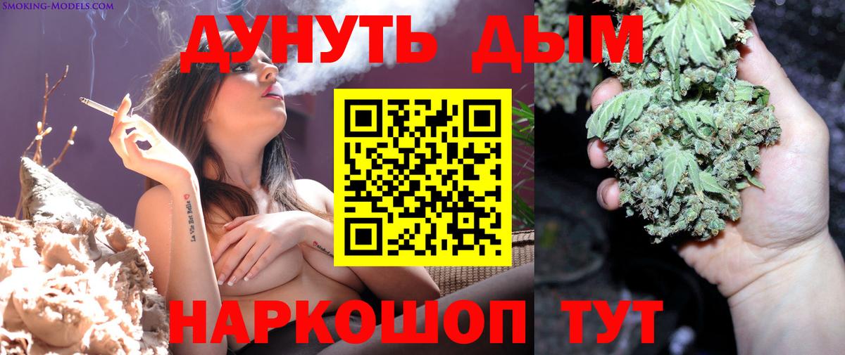 Каннабис сатива Керчь